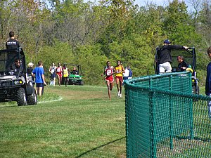 IMG_0910.JPG
