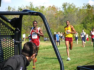 IMG_0911.JPG