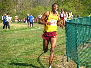 IMG_0914.JPG