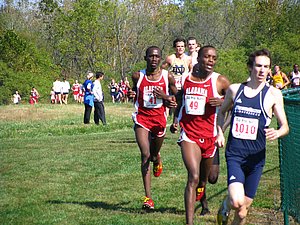 IMG_0919.JPG