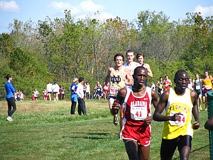IMG_0920.JPG