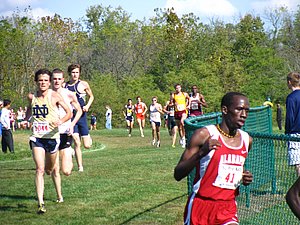 IMG_0921.JPG