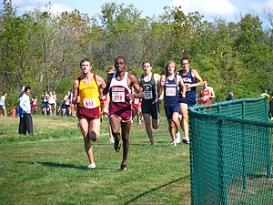 IMG_0928.JPG