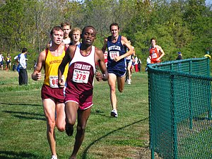 IMG_0929.JPG