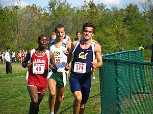 IMG_0943.JPG