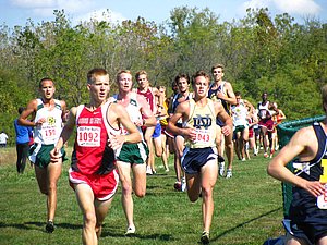 IMG_0952.JPG