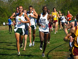 IMG_0954.JPG