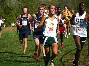 IMG_0955.JPG