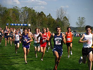 IMG_0973.JPG