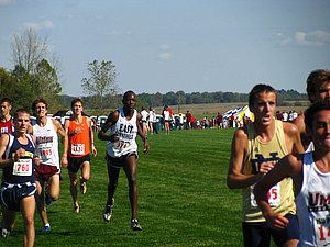 IMG_0981.JPG