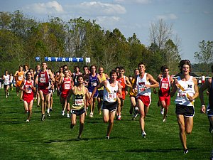 IMG_0987.JPG
