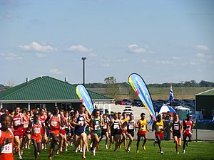 IMG_1004.JPG