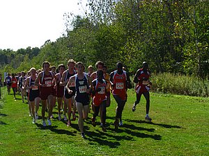 IMG_1019.JPG