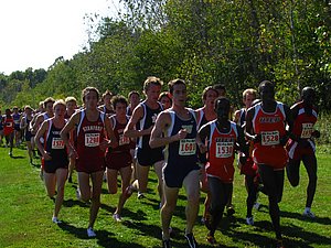 IMG_1020.JPG