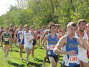 IMG_1024.JPG