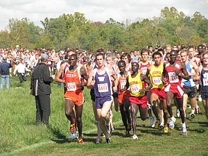 IMG_1035.JPG