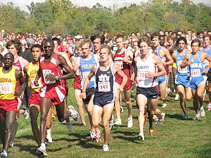 IMG_1036.JPG
