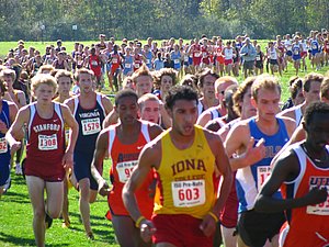IMG_1050.JPG
