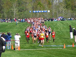 IMG_1095.JPG