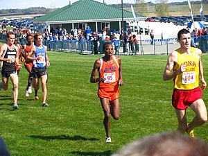 IMG_1098.JPG
