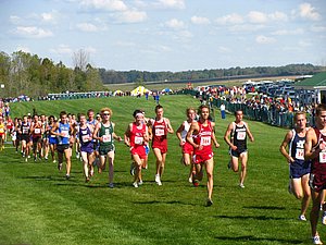 IMG_1103.JPG