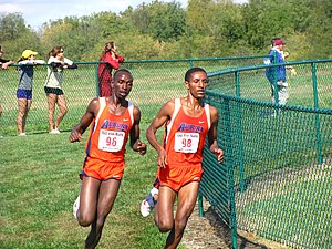 IMG_1122.JPG