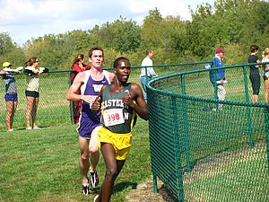 IMG_1133.JPG