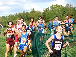 IMG_1142.JPG