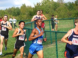 IMG_1146.JPG