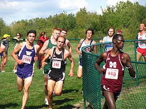 IMG_1156.JPG