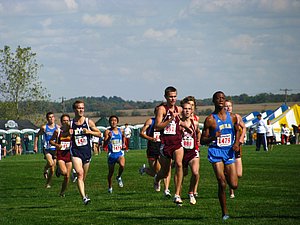 IMG_1168.JPG