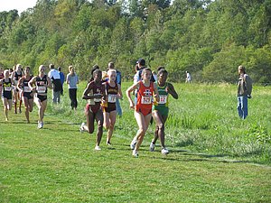 IMG_0728.JPG