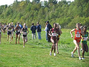 IMG_0729.JPG