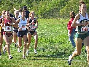 IMG_0739.JPG