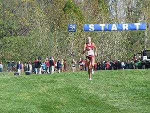 IMG_0795.JPG