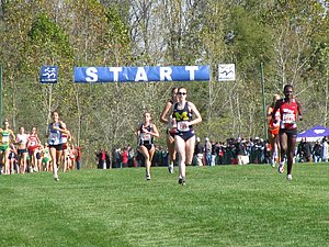 IMG_0799.JPG