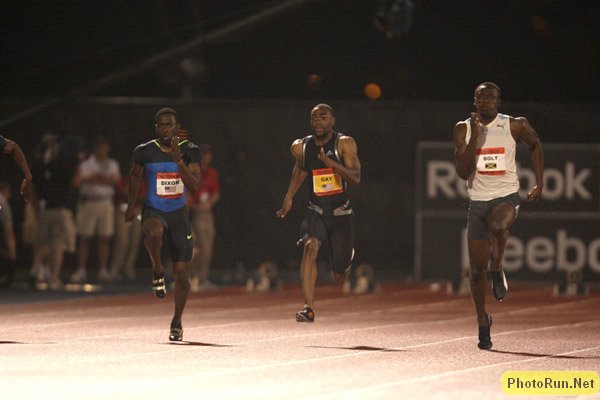 Bolt-Gay-Dixon1a-NYC_GP08.JPG
