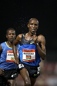 Kosgei-Abdosh1-NYC_GP08.JPG