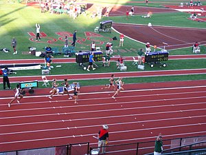 IMG_0793.JPG