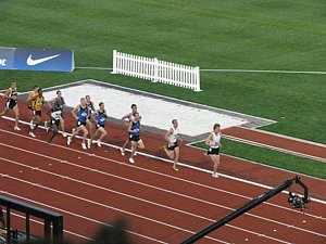 IMG_0811.JPG