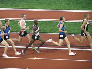 IMG_0814.JPG
