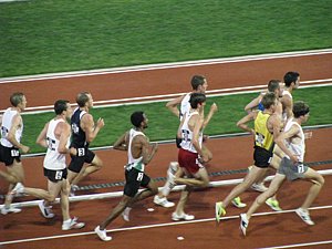IMG_0823.JPG