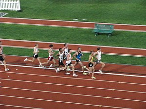 IMG_0825.JPG