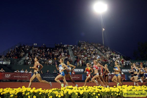 W10kFlowerBed1-USOlyT08.JPG