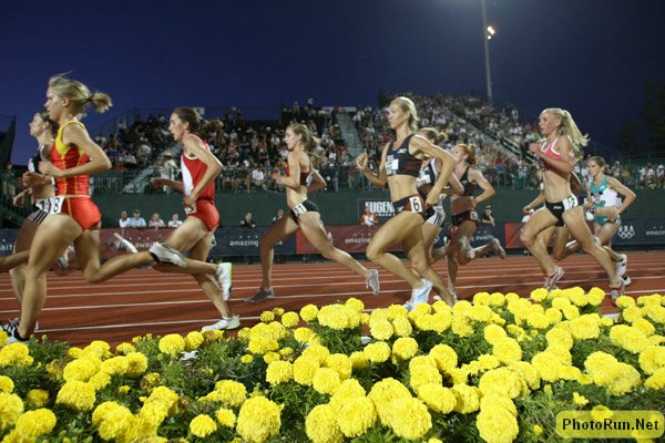W10kFlowerBed1a-USOlyT08.JPG