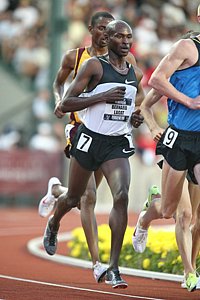 Lagat_BernardQ-USOlyT08.JPG