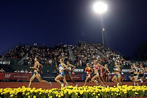 W10kFlowerBed1-USOlyT08.JPG