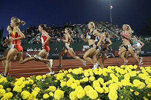 W10kFlowerBed1a-USOlyT08.JPG