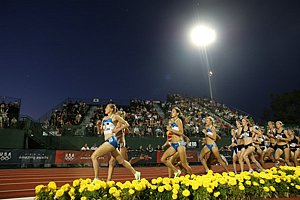 W10kmFlowerBed-USOlyT08.JPG