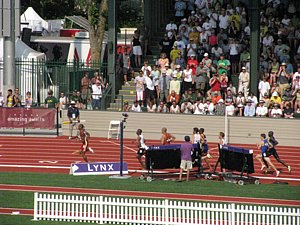 IMG_0981.JPG